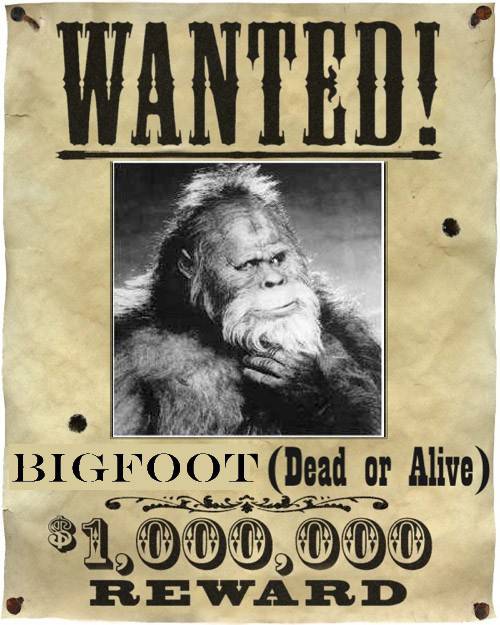 chasseur-de-bigfoot-profil.jpg