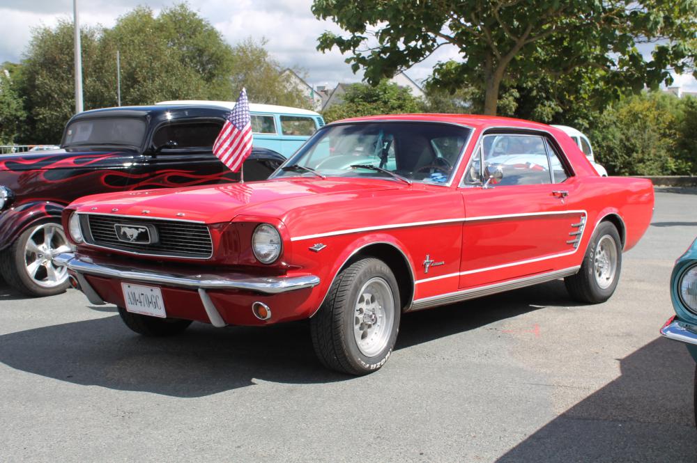 IMG_0371.thumb.JPG.932480feadbb1b7e50f77