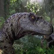 Grand Trésor Anarchique 5