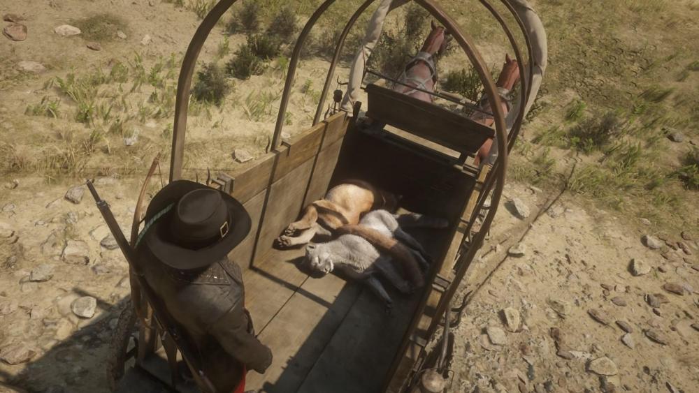 Red Dead Redemption 2_20190622150438.jpg