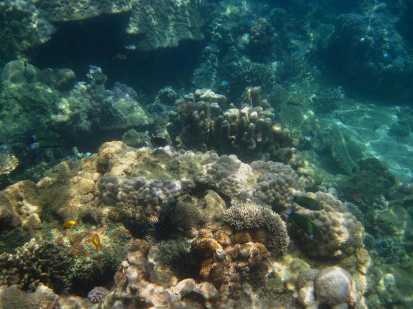 post-29173-0-30222400-1369936611_thumb.j