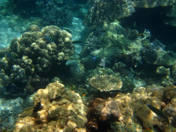 post-29173-0-44377300-1369936748_thumb.j