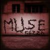 Muse_56220