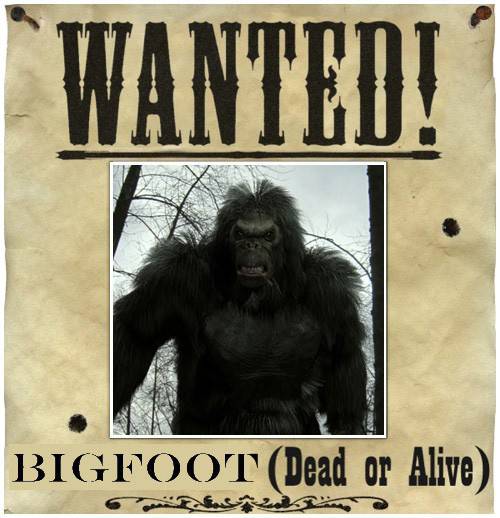 bigfoot-recherche.jpg